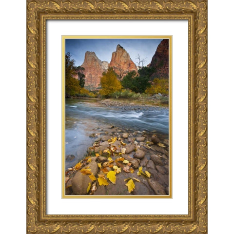UT, Zion NP The Sentinel and the Virgin River Gold Ornate Wood Framed Art Print with Double Matting by Rotenberg, Nancy