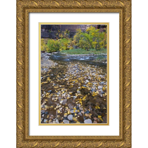 USA, Utah, Zion NP Fallen Leaves in The Narrows Gold Ornate Wood Framed Art Print with Double Matting by Rotenberg, Nancy