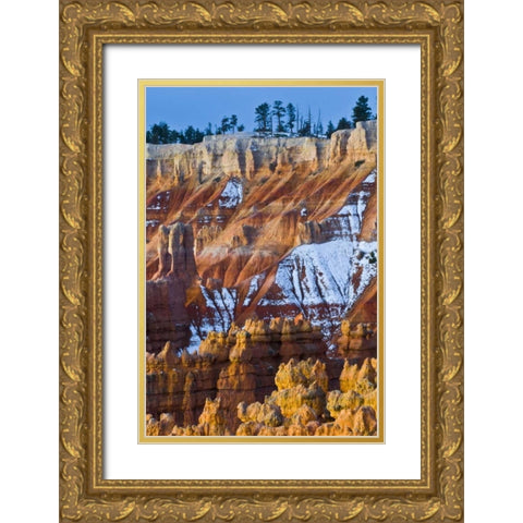 Utah Snowy hoodoo formations in Bryce Canyon NP Gold Ornate Wood Framed Art Print with Double Matting by Rotenberg, Nancy