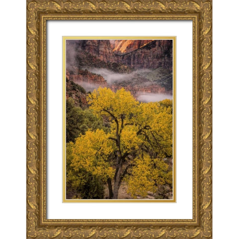 USA, Utah, Zion NP Foggy autumn landscape Gold Ornate Wood Framed Art Print with Double Matting by OBrien, Jay