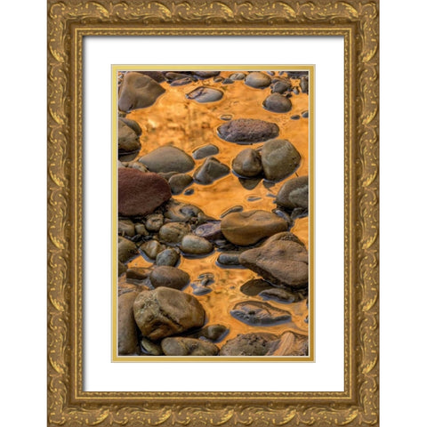 USA, Utah, Zion NP Rocks in water Gold Ornate Wood Framed Art Print with Double Matting by OBrien, Jay