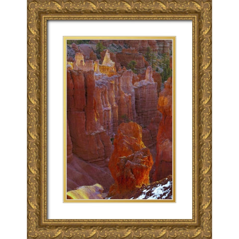 USA, Utah, Bryce Canyon NP Close-up of hoodoos Gold Ornate Wood Framed Art Print with Double Matting by OBrien, Jay