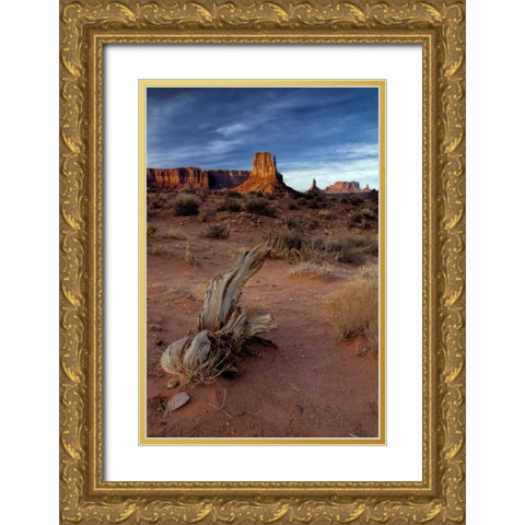 Utah, Monument Valley Eroded rock formations Gold Ornate Wood Framed Art Print with Double Matting by OBrien, Jay