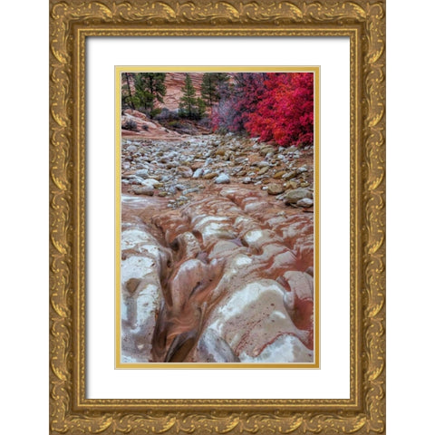 USA, Utah, Zion NP Ground rock pattern Gold Ornate Wood Framed Art Print with Double Matting by OBrien, Jay