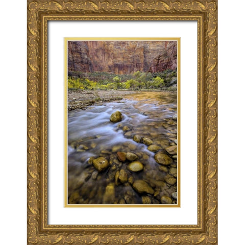 USA, Utah, Zion NP Stream in autumn scenic Gold Ornate Wood Framed Art Print with Double Matting by OBrien, Jay