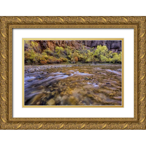 USA, Utah, Zion NP Stream in autumn scenic Gold Ornate Wood Framed Art Print with Double Matting by OBrien, Jay