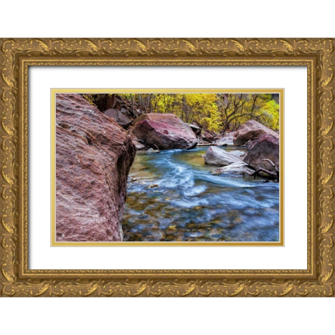 USA, Utah, Zion NP Stream in autumn landscape Gold Ornate Wood Framed Art Print with Double Matting by OBrien, Jay