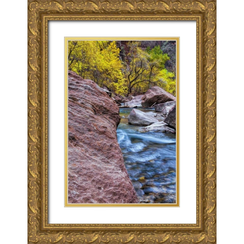 USA, Utah, Zion NP Stream in autumn landscape Gold Ornate Wood Framed Art Print with Double Matting by OBrien, Jay