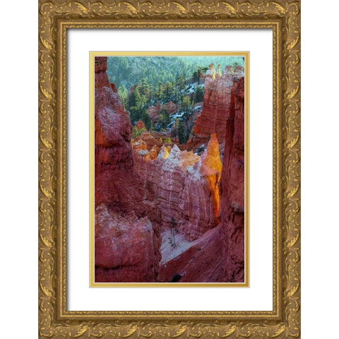 USA, Utah, Bryce Canyon NP Close-up of hoodoos Gold Ornate Wood Framed Art Print with Double Matting by OBrien, Jay
