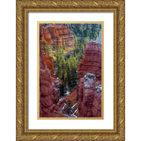 USA, Utah, Bryce Canyon NP Close-up of hoodoos Gold Ornate Wood Framed Art Print with Double Matting by OBrien, Jay