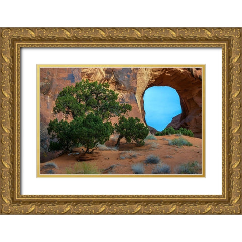 Utah-Monument Valley Landscape with sandstone formations and trees  Gold Ornate Wood Framed Art Print with Double Matting by Jaynes Gallery