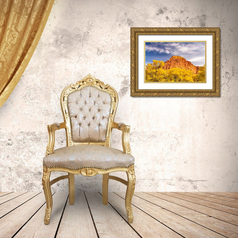 USA- Utah- Capitol Reef National Park. Red rock formation and fall cottonwood trees. Gold Ornate Wood Framed Art Print with Double Matting by Jaynes Gallery