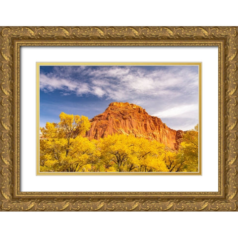 USA- Utah- Capitol Reef National Park. Red rock formation and fall cottonwood trees. Gold Ornate Wood Framed Art Print with Double Matting by Jaynes Gallery