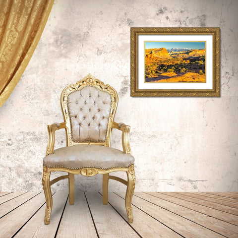 USA- Utah- Capitol Reef National Park. Eroded rock formations and mountains. Gold Ornate Wood Framed Art Print with Double Matting by Jaynes Gallery