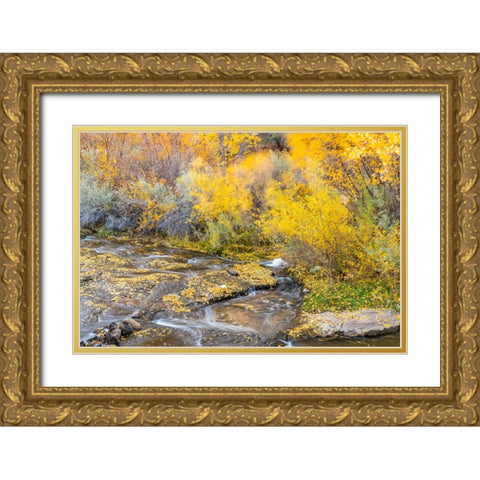 USA- Utah- Calf Creek Recreation Area in autumn. Gold Ornate Wood Framed Art Print with Double Matting by Jaynes Gallery