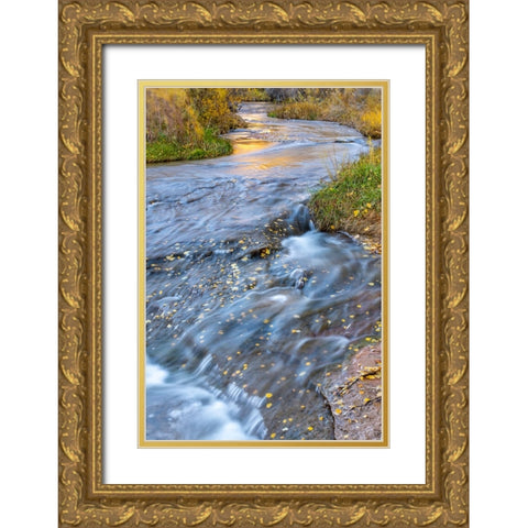 USA- Utah- Calf Creek Recreation Area in autumn. Gold Ornate Wood Framed Art Print with Double Matting by Jaynes Gallery