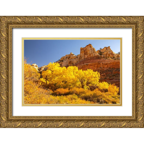 USA- Utah- Grand Staircase Escalante National Monument. Calf Creek Canyon landscape. Gold Ornate Wood Framed Art Print with Double Matting by Jaynes Gallery