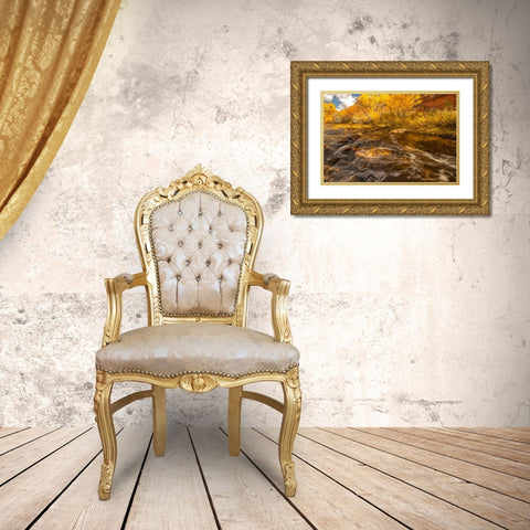 USA- Utah- Calf Creek Recreation Area in autumn. Gold Ornate Wood Framed Art Print with Double Matting by Jaynes Gallery