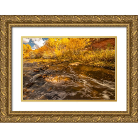 USA- Utah- Calf Creek Recreation Area in autumn. Gold Ornate Wood Framed Art Print with Double Matting by Jaynes Gallery