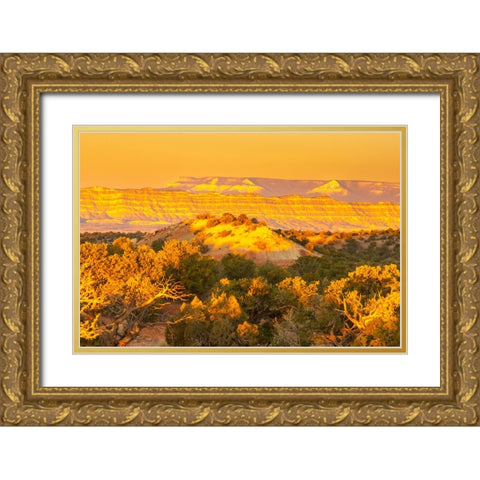 USA- Utah- Grand Staircase Escalante National Monument. Sunrise on cliff and valley. Gold Ornate Wood Framed Art Print with Double Matting by Jaynes Gallery