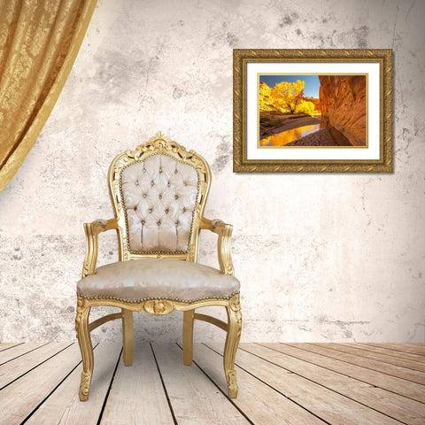 USA- Utah- Grand Staircase Escalante National Monument. Harris Wash and cottonwood trees in fall. Gold Ornate Wood Framed Art Print with Double Matting by Jaynes Gallery