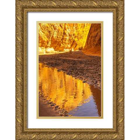 USA- Utah- Grand Staircase Escalante National Monument. Harris Wash reflection. Gold Ornate Wood Framed Art Print with Double Matting by Jaynes Gallery
