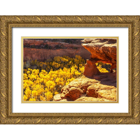 USA- Utah- Grand Staircase Escalante National Monument. Escalante River Basin rock formations. Gold Ornate Wood Framed Art Print with Double Matting by Jaynes Gallery