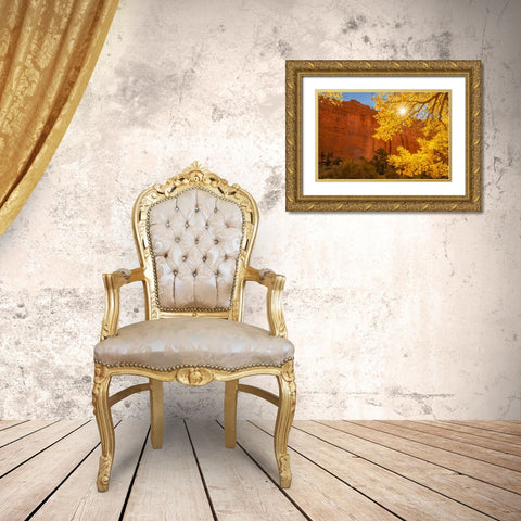 USA- Utah- Grand Staircase Escalante National Monument. Rock formations. and cottonwood trees. Gold Ornate Wood Framed Art Print with Double Matting by Jaynes Gallery