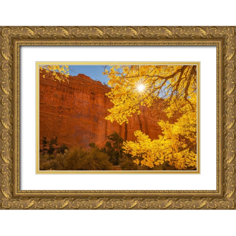 USA- Utah- Grand Staircase Escalante National Monument. Rock formations. and cottonwood trees. Gold Ornate Wood Framed Art Print with Double Matting by Jaynes Gallery