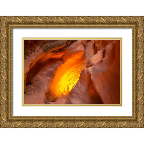 USA- Utah- Grand Staircase Escalante National Monument. Bighorn Canyon trail. Gold Ornate Wood Framed Art Print with Double Matting by Jaynes Gallery