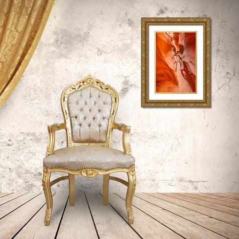 USA- Utah- Grand Staircase Escalante National Monument. Bighorn Canyon trail. Gold Ornate Wood Framed Art Print with Double Matting by Jaynes Gallery