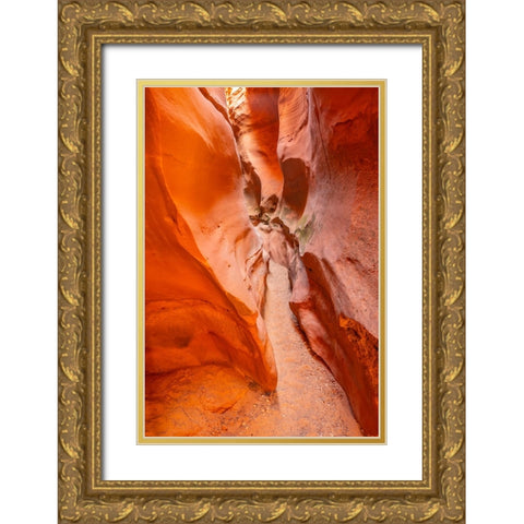 USA- Utah- Grand Staircase Escalante National Monument. Bighorn Canyon trail. Gold Ornate Wood Framed Art Print with Double Matting by Jaynes Gallery