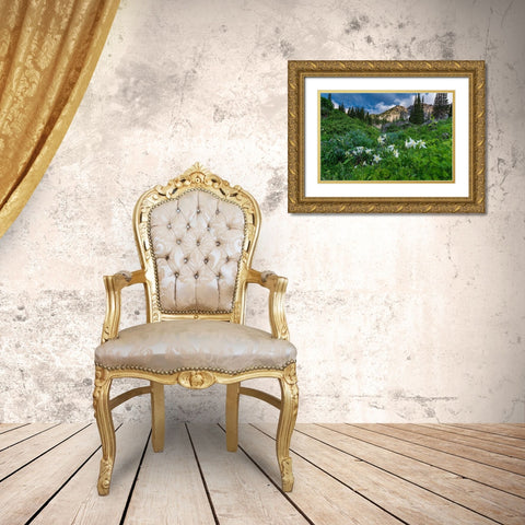 Columbine wildflowers and bluebells in Albion Basin-Alta Ski Resort-Wasatch Mountains Gold Ornate Wood Framed Art Print with Double Matting by Garber, Howie