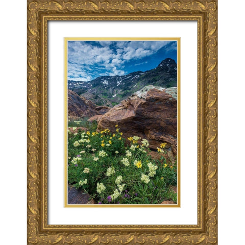 Cow parsnip-mules ear-and quartzite rock in Twin Peaks Wilderness Gold Ornate Wood Framed Art Print with Double Matting by Garber, Howie