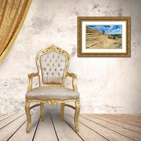 Mountain biker balances courage and danger and attempting to avoid crash on Red Rock-Utah-USA (MR) Gold Ornate Wood Framed Art Print with Double Matting by Garber, Howie
