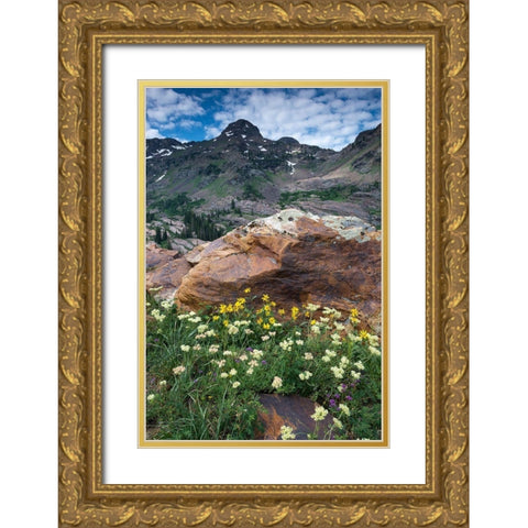 Wildflowers and Dromedary Peak-Twin Peaks Wilderness-Wasatch Mountains near Salt Lake City-Utah-USA Gold Ornate Wood Framed Art Print with Double Matting by Garber, Howie