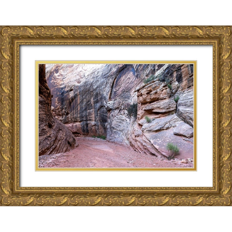 USA-Utah-Grand Wash-Capitol Reef National Park Gold Ornate Wood Framed Art Print with Double Matting by Davidson, Janell