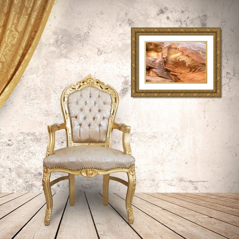 USA-Utah-Grand Wash-Capitol Reef National Park Close-up of rock pattern Gold Ornate Wood Framed Art Print with Double Matting by Davidson, Janell
