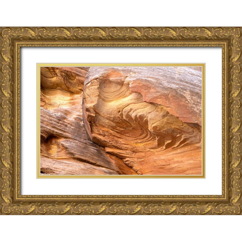USA-Utah-Grand Wash-Capitol Reef National Park Close-up of rock pattern Gold Ornate Wood Framed Art Print with Double Matting by Davidson, Janell