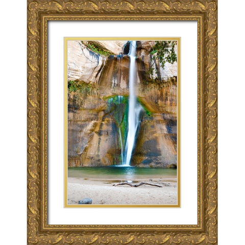 USA-Utah-Grand Staircase Escalante National Monument Lower Calf Creek Falls Gold Ornate Wood Framed Art Print with Double Matting by Davidson, Janell