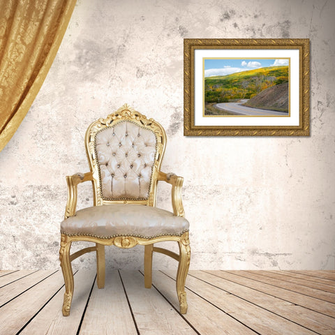 USA-Utah Highway winding through Dixie National Forest-Aspen Fall colors Gold Ornate Wood Framed Art Print with Double Matting by Davidson, Janell