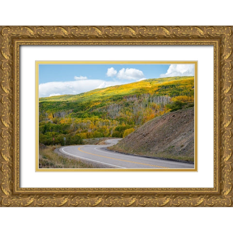 USA-Utah Highway winding through Dixie National Forest-Aspen Fall colors Gold Ornate Wood Framed Art Print with Double Matting by Davidson, Janell