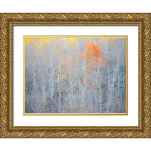 Utah-Logan Pass Autumn colors in Logan Pass Utah Gold Ornate Wood Framed Art Print with Double Matting by Eggers, Julie