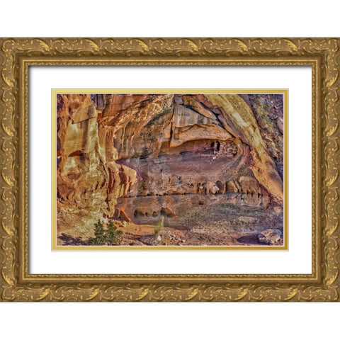 USA-Utah-National Park-Canyonlands National Park-Dead Horse Point-winter-landscape Gold Ornate Wood Framed Art Print with Double Matting by Ford, John