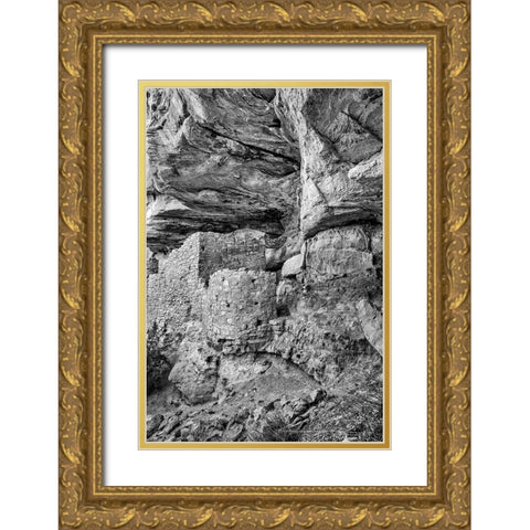 Little Westwater Ruin-Canyonlands National Park-Utah Gold Ornate Wood Framed Art Print with Double Matting by Ford, John
