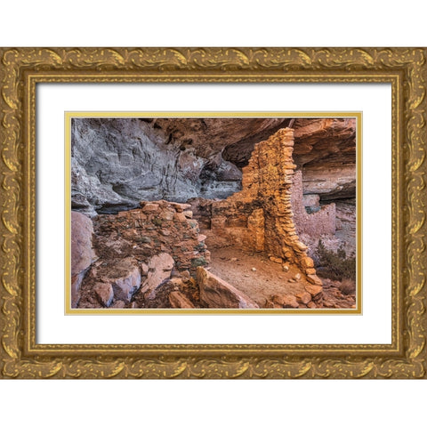 Little Westwater Ruin-Canyonlands National Park-Utah Gold Ornate Wood Framed Art Print with Double Matting by Ford, John