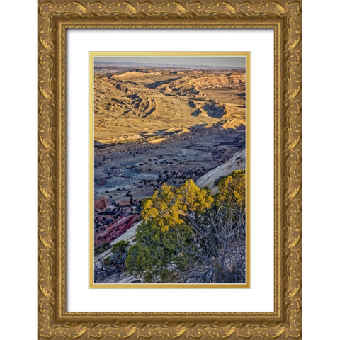 Strike Valley Outlook-Escalante-Utah Gold Ornate Wood Framed Art Print with Double Matting by Ford, John