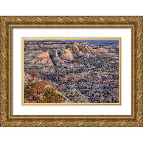 Slickrock-Escalante-Utah Gold Ornate Wood Framed Art Print with Double Matting by Ford, John