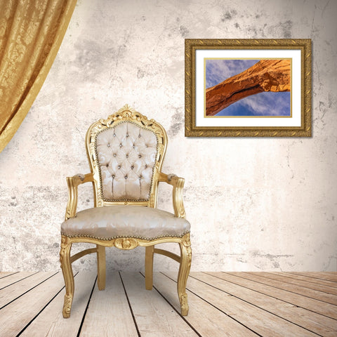 North Window Arch--Arches National Park-Utah Gold Ornate Wood Framed Art Print with Double Matting by Ford, John