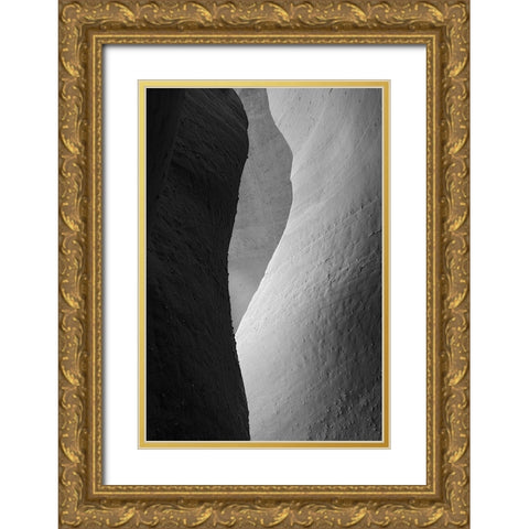 Utah Grand Staircase-Escalante National Monument-Spooky Gulch Gold Ornate Wood Framed Art Print with Double Matting by Wild, Jamie and Judy